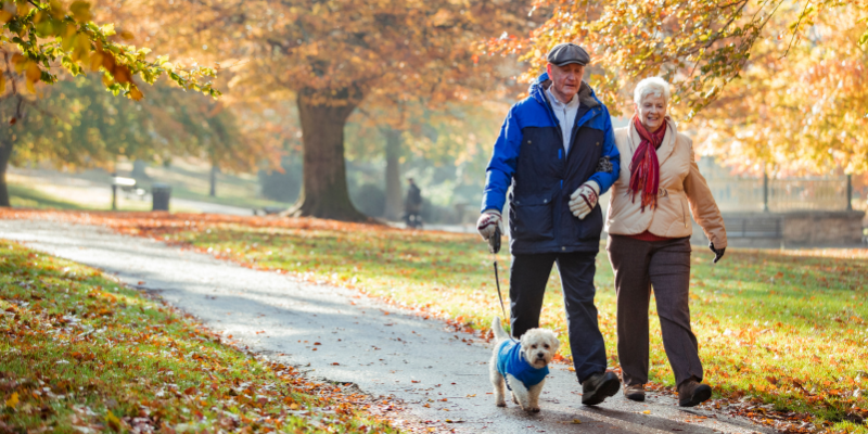 Couple walking a dog in the park