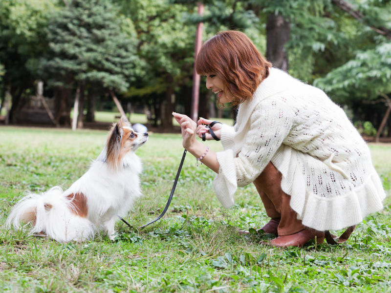 Woman facing her dog signaling the dog to sit