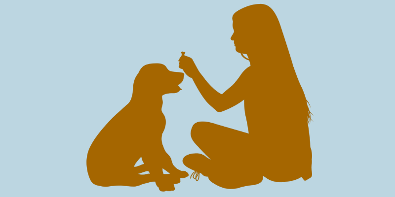 Silhouette of a woman holding a treat in front of a sitting dog