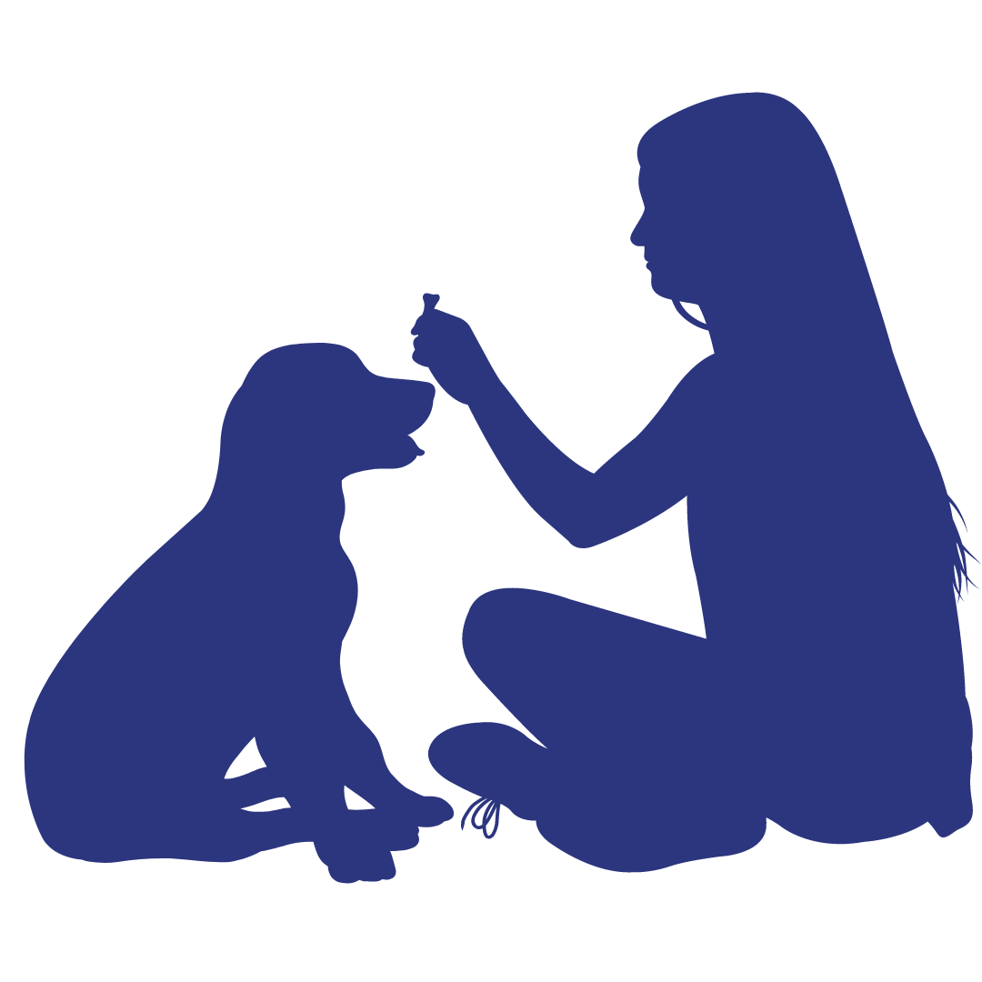 Silhouette of a woman holding a treat in front of a sitting dog