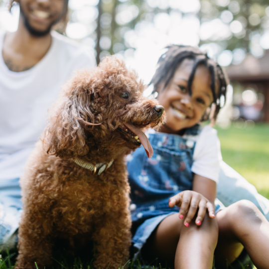 Dog with family