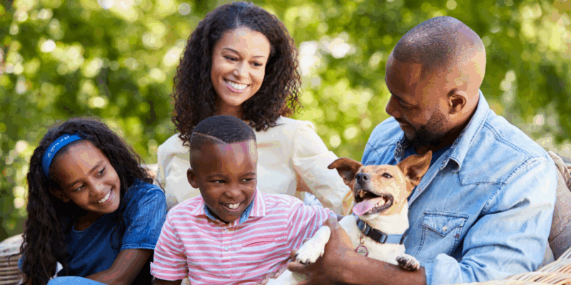 Private training and behavior help for a amily and their dog