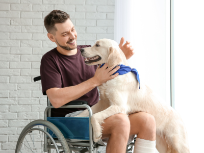 Dog greets man in wheelchair