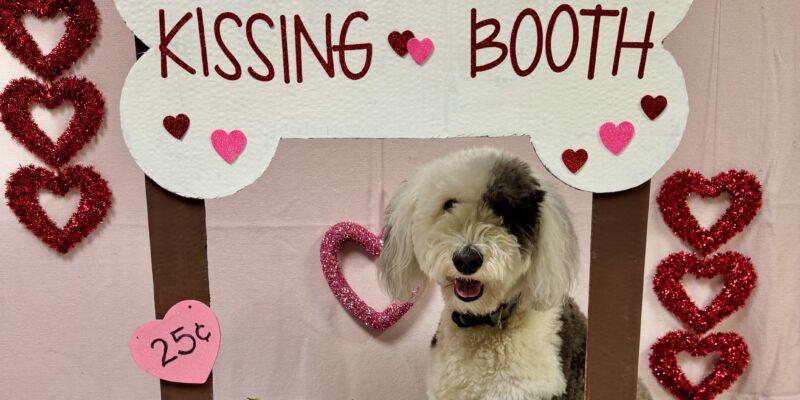 "Stay for a Smooch" Kissing Booth in Daycare PLUS