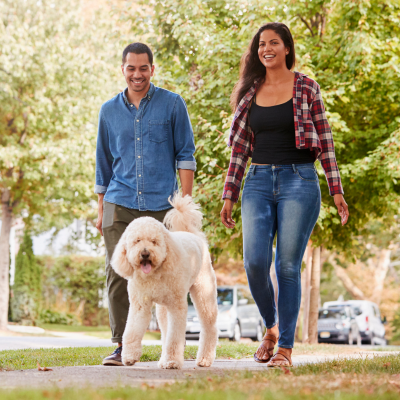 Behavior Modification for aggression, reactivity and anxiety