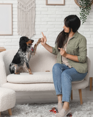 Good manners training at home