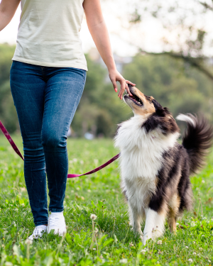 Good manners training in a public space