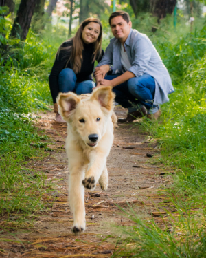 Working through fear and anxiety—a young dog bravely explores in the woods
