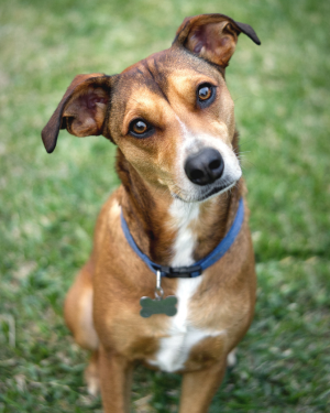 FAQ for Day Training