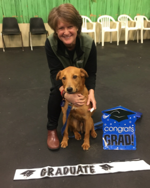 Group classes for good manners