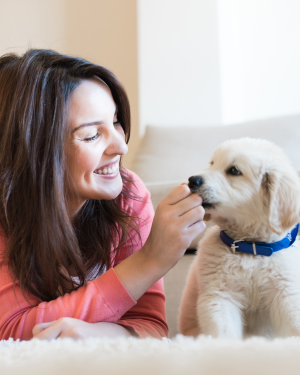 Puppy training together